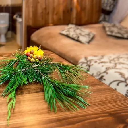 Kwatera prywatna Madejowy Dwór